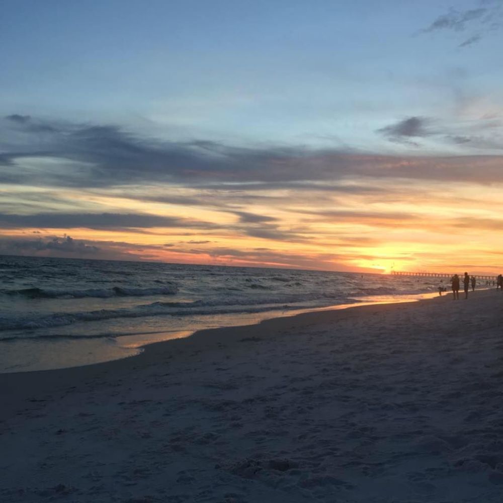 Meet your Posher, Renee